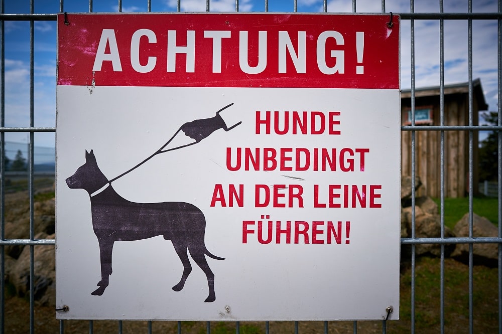 Pet Transport Guides